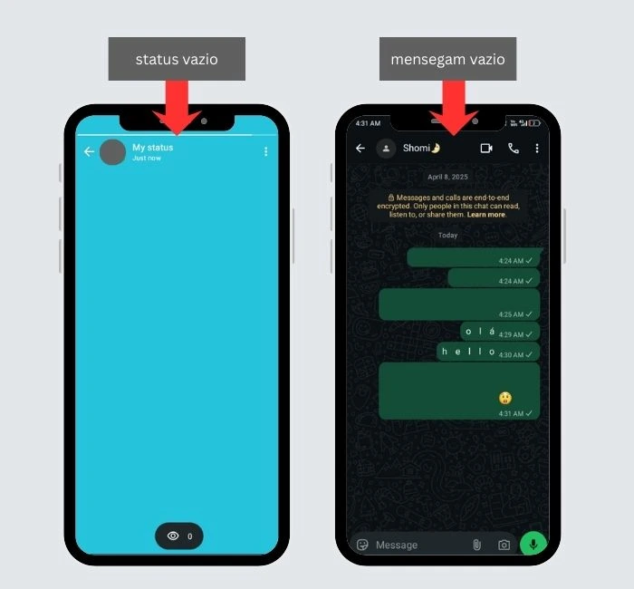 exemplo de mensagem vazia enviada usando caractere invisivel no WhatsApp